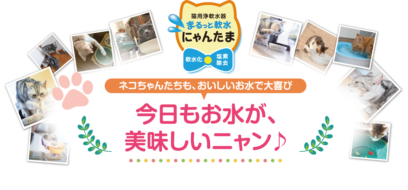 猫用浄軟水器：まるっと軟水にゃんたま　今日もお水が美味しいニャン♪